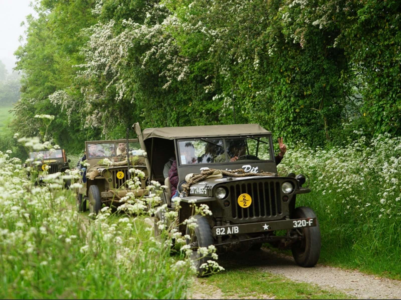 Willys jeeps in convoy in Normandy hedgerow